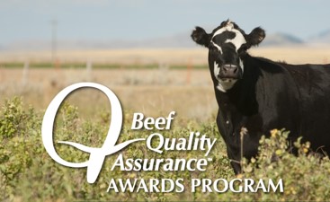 National Beef Quality Assurance Awards | Beef Quality Assurance Program ...